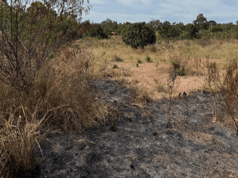 Foto 4 de 4: Terreno em leilão em Caldas Novas - GO — Lote, Residencial, Loteamento Lagoa Quente