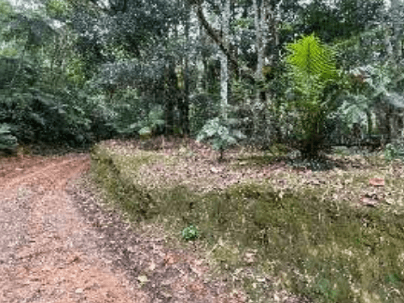 Foto 5 de 7: Area Rural em leilão em Blumenau - SC, bairro Progresso — Lote, Rural, Progresso