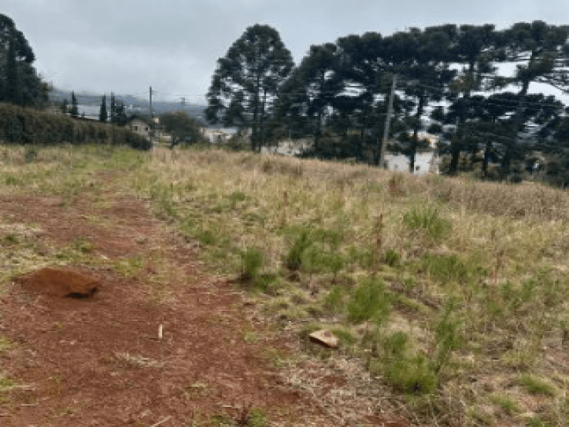 Foto 4 de 12: Terreno em leilão em Gramado - RS — Lote, Misto, Várzea Grande