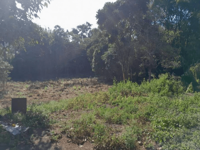 Foto 3 de 5: Terreno em leilão em Pains - MG — Lote, Residencial, N/a