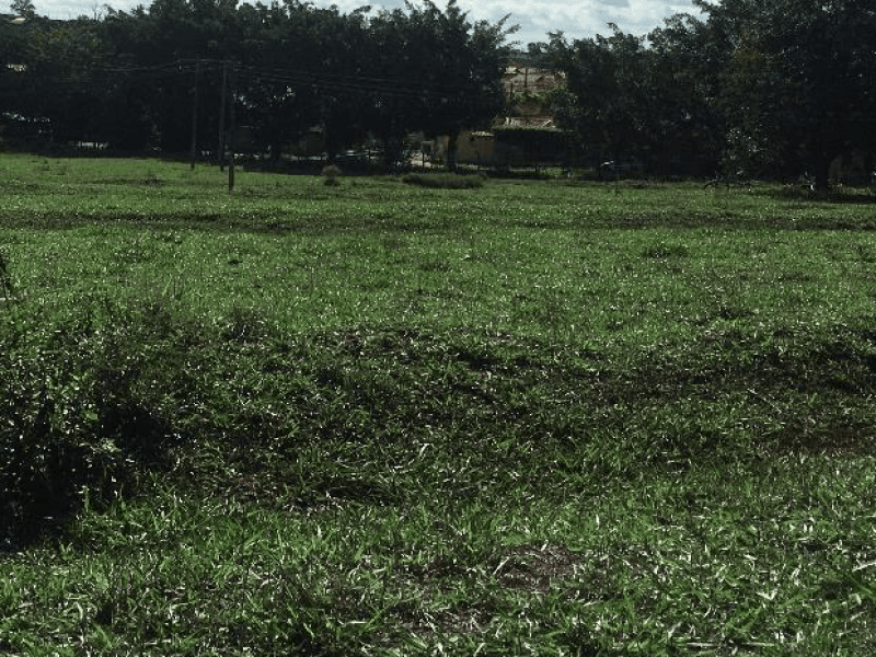 Foto 8 de 9: Area Rural em leilão em Guaraçaí - SP — Chácara/sítio, Rural, Conjunto Habitacional Doutor José Olavo Diniz