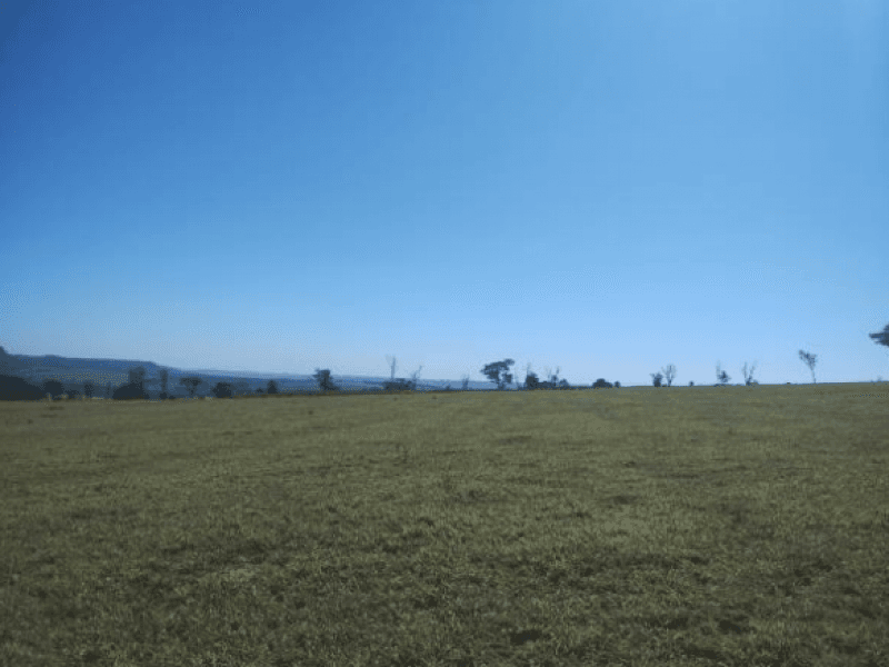Foto 5 de 6: Area Rural em leilão em Ribeirão Bonito - SP — Chácara/sítio, Rural, Sítio Recanto Tropical