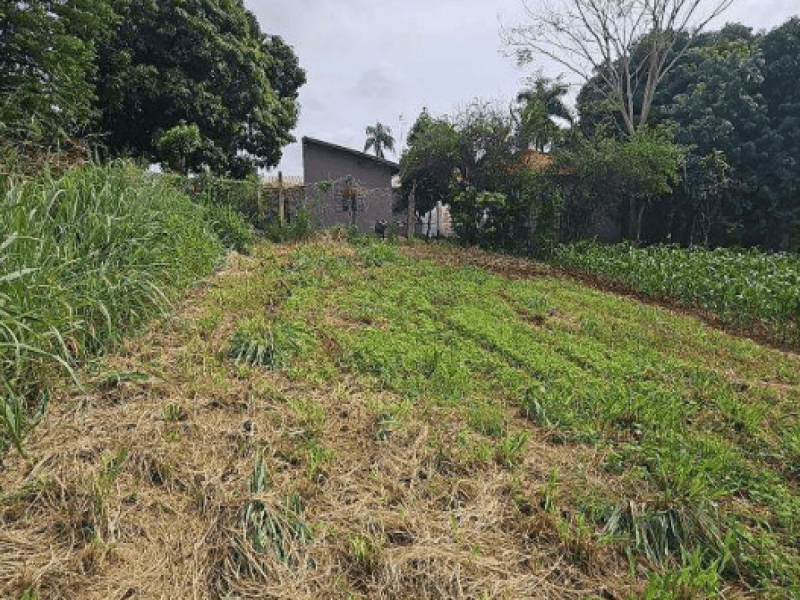 Foto 5 de 9: Terreno em leilão em Morro Agudo - SP, bairro Centro — Lote, Residencial, Centro