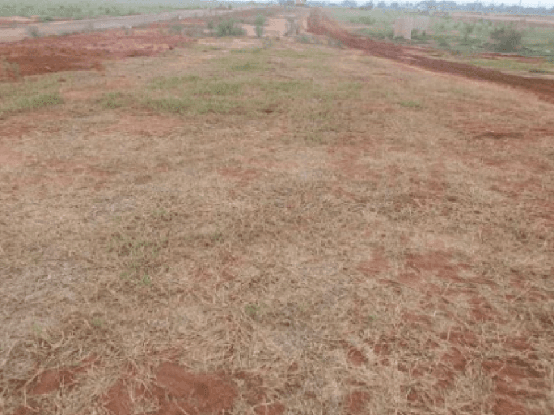 Foto 3 de 3: Terreno em leilão em Marília - SP, bairro Jardim Botânico I — Lote, Residencial, Jardim Botânico I