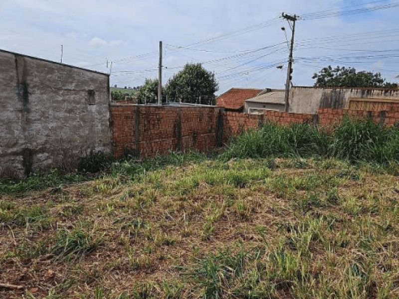 Foto 9 de 9: Terreno em leilão em Morro Agudo - SP, bairro Centro — Lote, Residencial, Centro