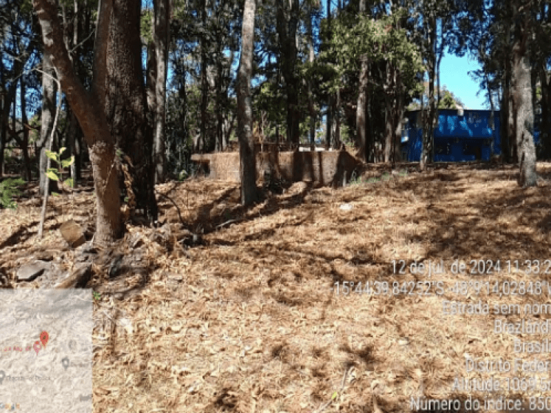 Foto 4 de 33: Area Rural em leilão em Brasília - DF — Área, Rural, Brazlândia