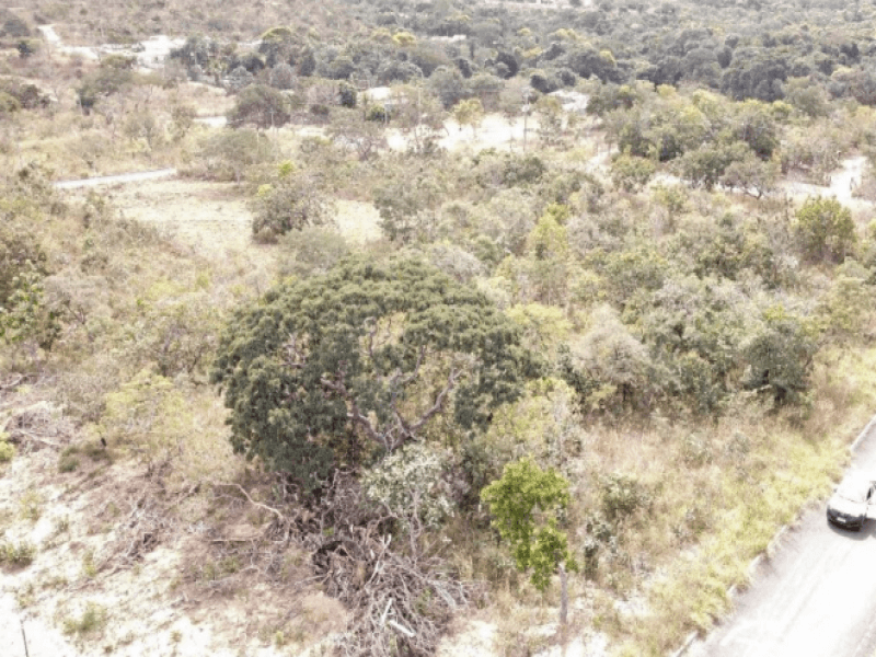 Foto 4 de 4: Terreno em leilão em Caldas Novas - GO — Lote, Residencial, Loteamento Lagoa Quente De Caldas Novas