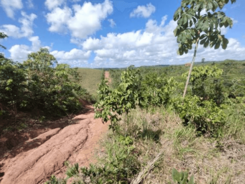 Foto 4 de 5: Terreno em leilão em Itaporanga D'ajuda - SE, bairro Povoado Duro — Lote, Misto, Povoado Duro