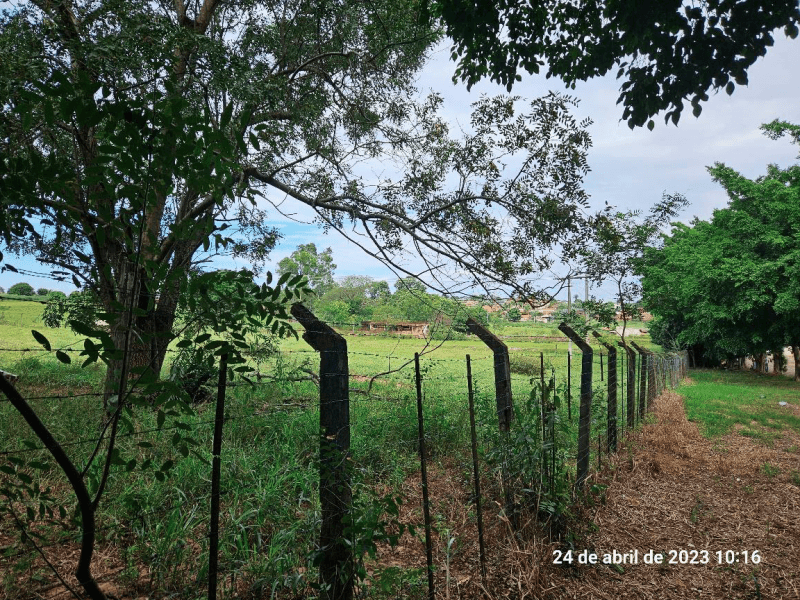 Foto 9 de 9: Area Rural em leilão em Guaraçaí - SP — Chácara/sítio, Rural, Conjunto Habitacional Doutor José Olavo Diniz