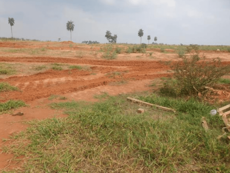 Foto 5 de 8: Terreno em leilão em Marília - SP, bairro Jardim Botânico I — Lote, Residencial, Jardim Botânico I