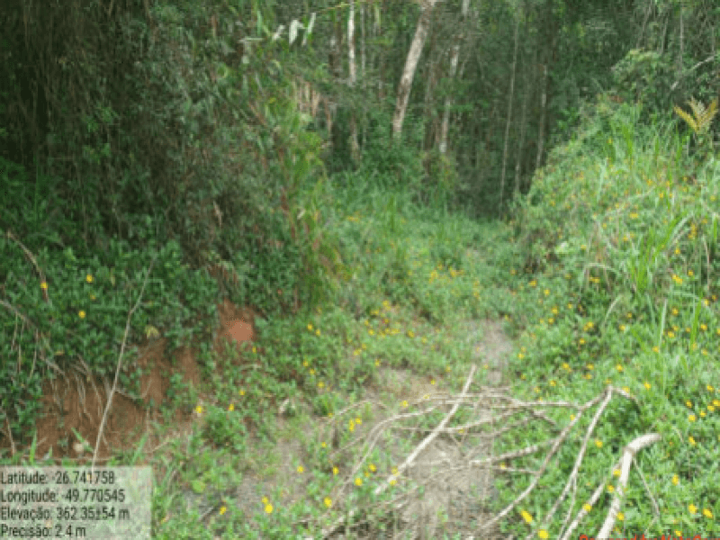 Foto 4 de 4: Area Rural em leilão em Itaiópolis - SC, bairro Itaió — Lote, Rural, Itaió
