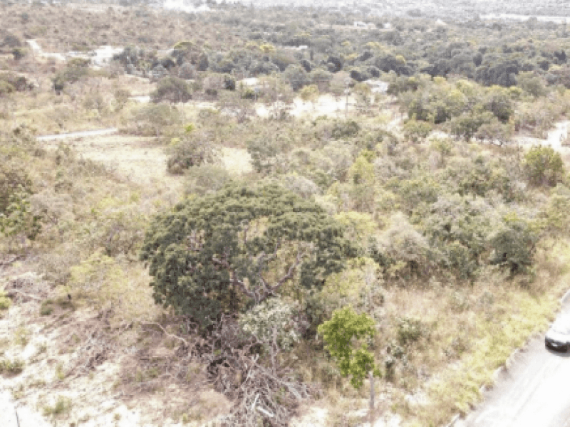 Foto 5 de 5: Comercial em leilão em Caldas Novas - GO — Lote, Comercial, Loteamento Lagoa Quente De Caldas Novas
