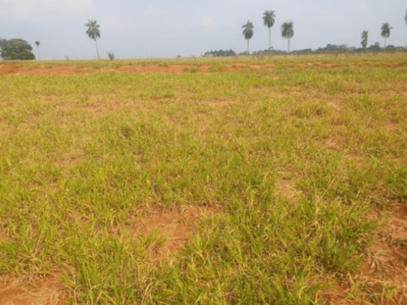 Foto 3 de 3: Terreno em leilão em Marília - SP, bairro Jardim Botânico I — Lote, Residencial, Jardim Botânico I