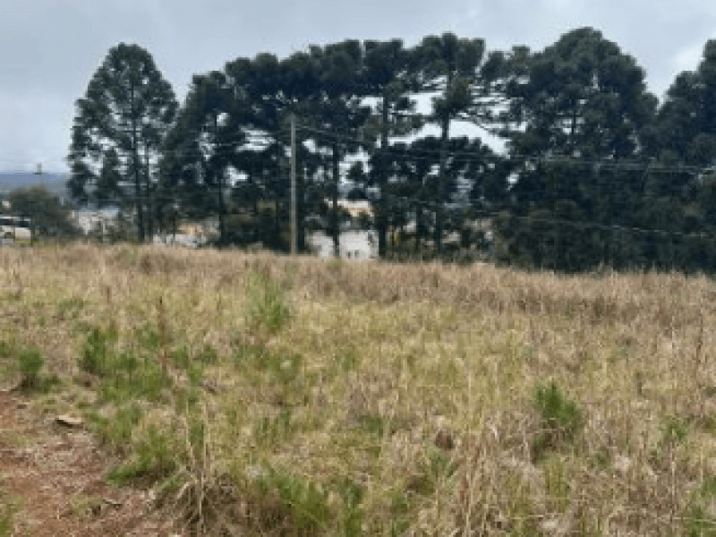 Foto 6 de 12: Terreno em leilão em Gramado - RS — Lote, Misto, Várzea Grande