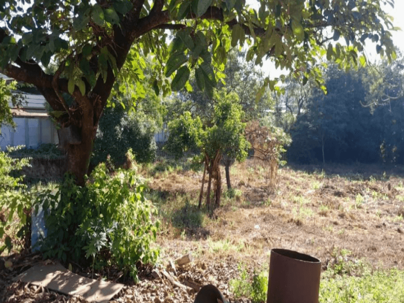 Foto 4 de 5: Terreno em leilão em Pains - MG — Lote, Residencial, N/a