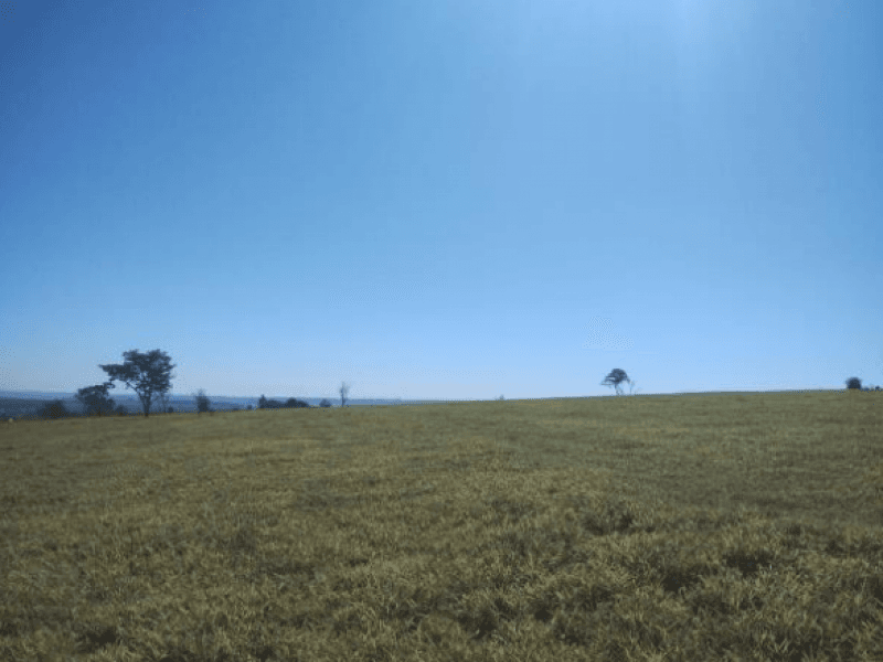 Foto 4 de 6: Area Rural em leilão em Ribeirão Bonito - SP — Chácara/sítio, Rural, Sítio Recanto Tropical