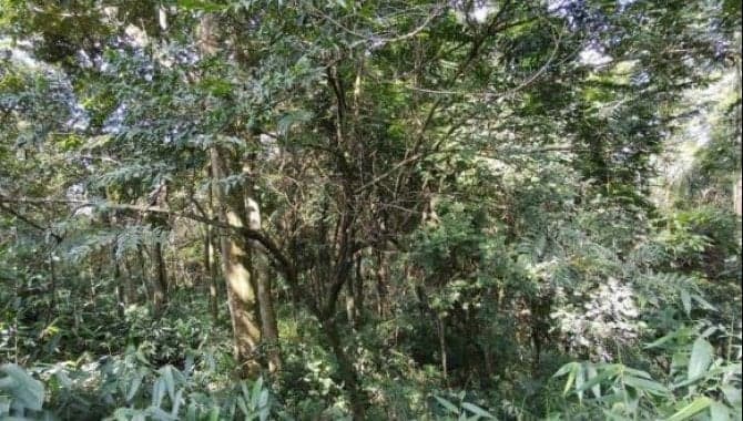 Terreno em leilão em Santana De Parnaíba - SP — Área de 1.170 m² - Morada do Sol - Santana de Parnaíba - SP