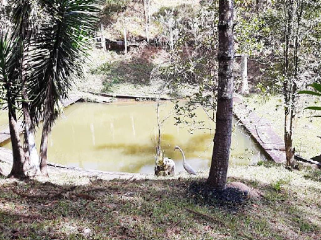 Foto 10 de 10: Area Rural em leilão em Santa Isabel - SP — Sítio 10 alq. - Boa Vista - Santa Isabel - SP