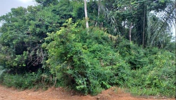 Area Rural em leilão em Camaçari - BA — Área Rural com 5.225 m² - Monte Gordo - Camaçari - BA
