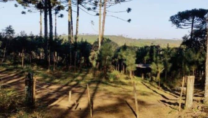 Area Rural em leilão em Ponte Alta Do Norte - SC — Área Rural - Ponte Alta do Norte-SC - Fazenda Alagados
