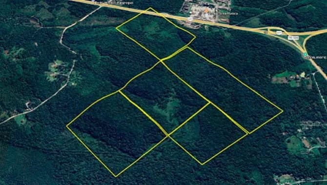 Terreno em leilão em Paranaguá - PR — 05 Imóveis Rurais com área total de 87,93 ha (Lotes 47, 48, 49, 50 e 55) - Paranaguá - PR