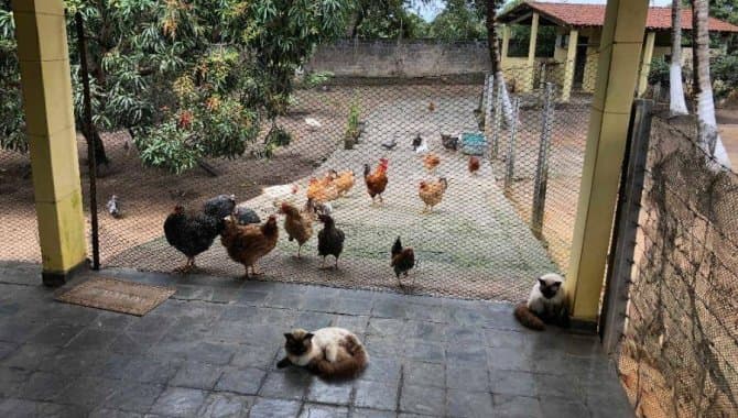 Foto 11 de 29: Casa em leilão em Penedo - AL — Casa, Padrão, 0 Vaga(S) de Garagem