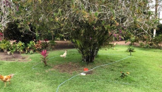 Foto 10 de 29: Casa em leilão em Penedo - AL — Casa, Padrão, 0 Vaga(S) de Garagem