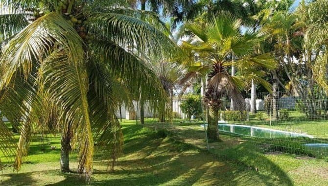 Foto 4 de 25: Casa em leilão em Nísia Floresta - RN — Casa, Padrão, 1 Vaga(S) de Garagem