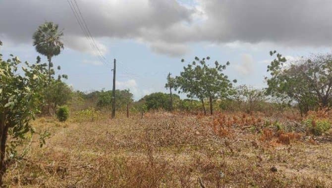 Foto 14 de 30: Terreno em leilão em Caucaia - CE — Área com 7 ha - Centro - Caucaia - CE