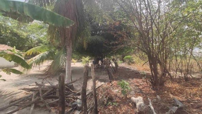 Foto 19 de 30: Terreno em leilão em Caucaia - CE — Área com 7 ha - Centro - Caucaia - CE