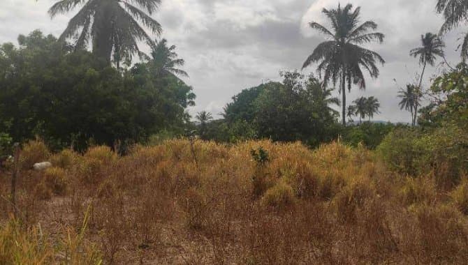 Foto 23 de 30: Terreno em leilão em Caucaia - CE — Área com 7 ha - Centro - Caucaia - CE