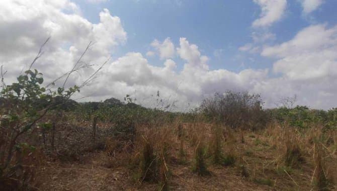 Foto 20 de 30: Terreno em leilão em Caucaia - CE — Área com 7 ha - Centro - Caucaia - CE