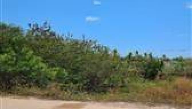 Foto 30 de 30: Terreno em leilão em Caucaia - CE — Área com 7 ha - Centro - Caucaia - CE
