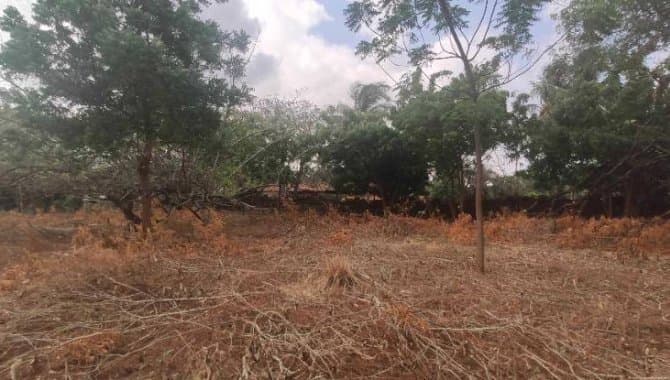 Foto 16 de 30: Terreno em leilão em Caucaia - CE — Área com 7 ha - Centro - Caucaia - CE