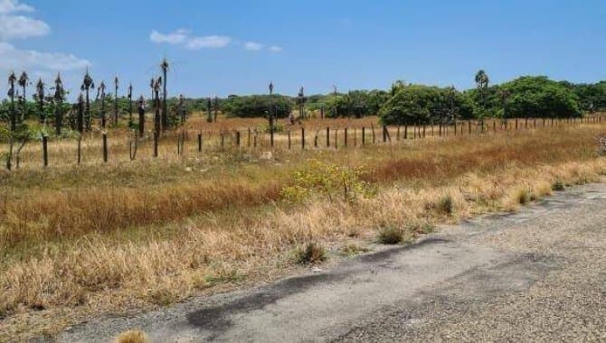 Foto 27 de 30: Terreno em leilão em Caucaia - CE — Área com 7 ha - Centro - Caucaia - CE