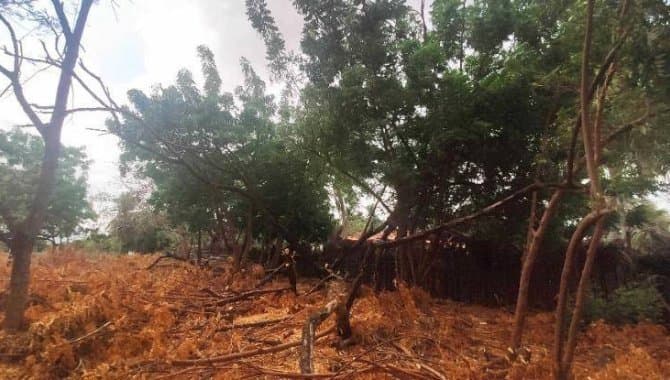 Foto 15 de 30: Terreno em leilão em Caucaia - CE — Área com 7 ha - Centro - Caucaia - CE