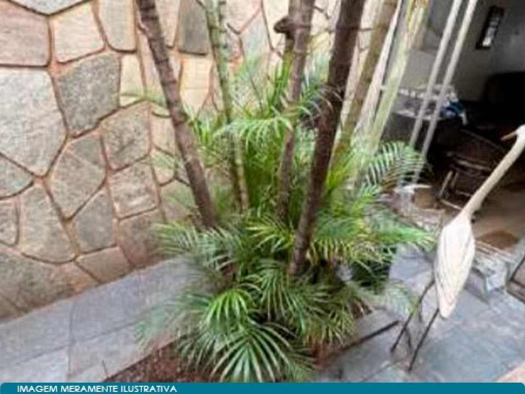 Foto 10 de 15: Casa em leilão em Bauru - SP — Casa 211 m² - Parque São Geraldo - Bauru - SP