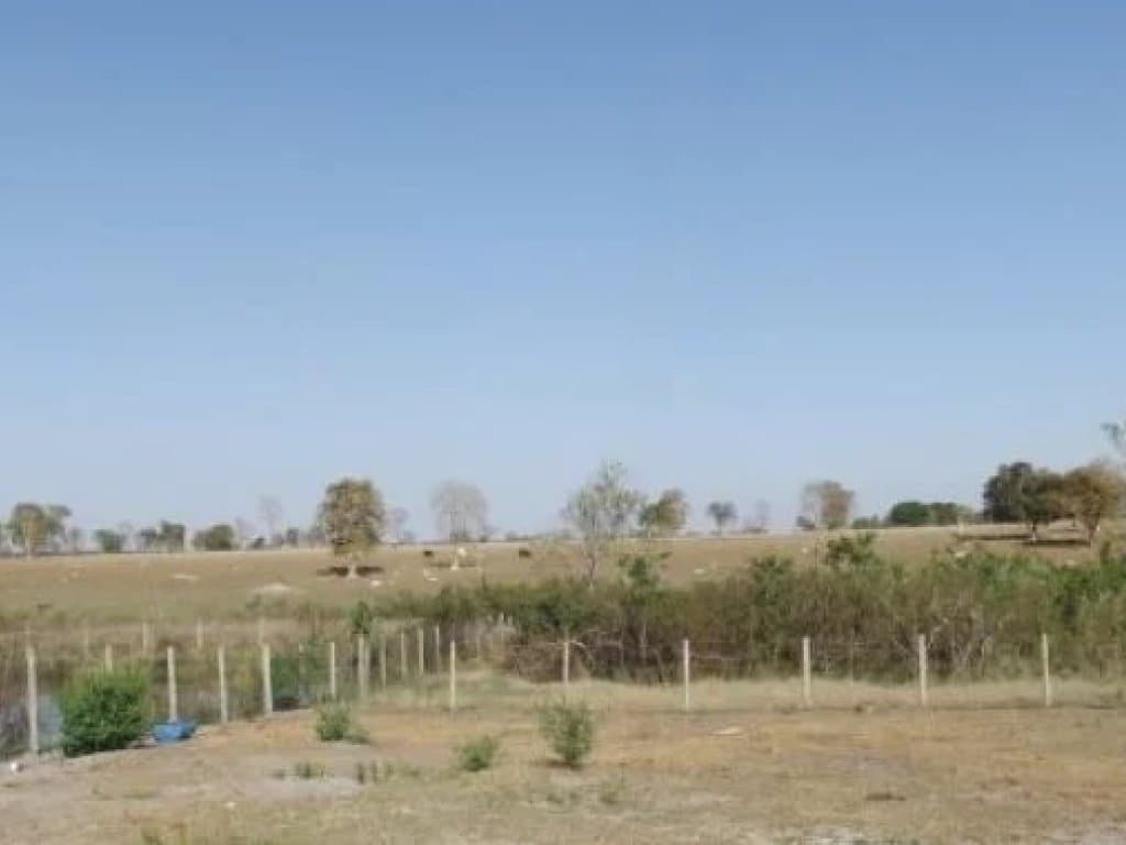Foto 2 de 2: Area Rural em leilão em Araguapaz - GO — Imóvel Rural com Área de 19 ha (Sítio 2 Irmãos) - Zona Rural - Araguapaz - GO