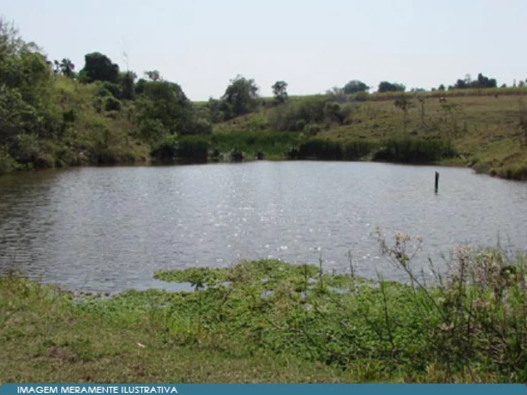 Foto 7 de 14: Area Rural em leilão em Mococa - SP — Imóvel Rural 140 ha (Fazenda Santa Maria da Figueira) - Mococa - SP
