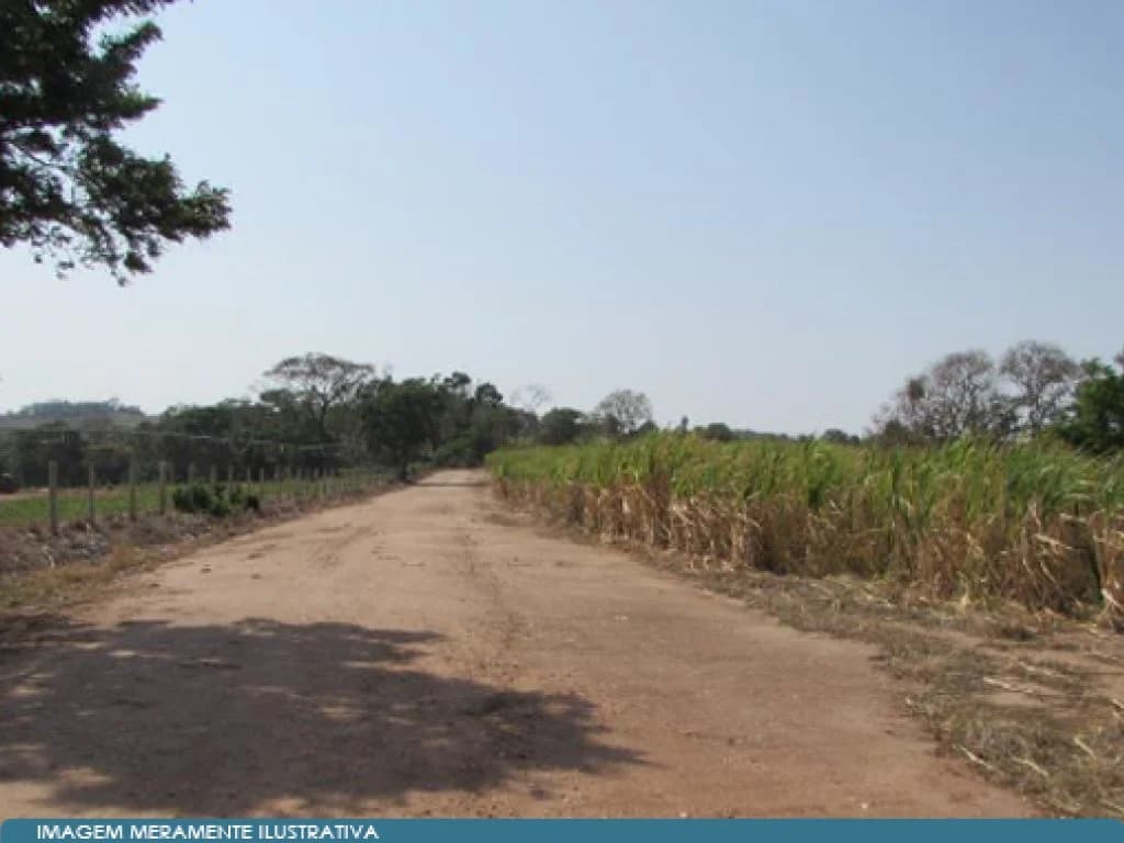 Foto 11 de 14: Area Rural em leilão em Mococa - SP — Imóvel Rural 140 ha (Fazenda Santa Maria da Figueira) - Mococa - SP
