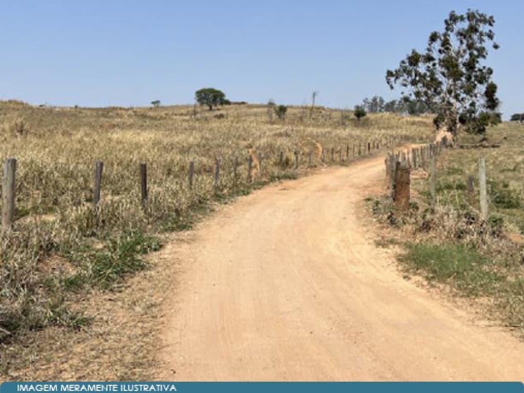 Foto 4 de 14: Area Rural em leilão em Mococa - SP — Imóvel Rural 140 ha (Fazenda Santa Maria da Figueira) - Mococa - SP