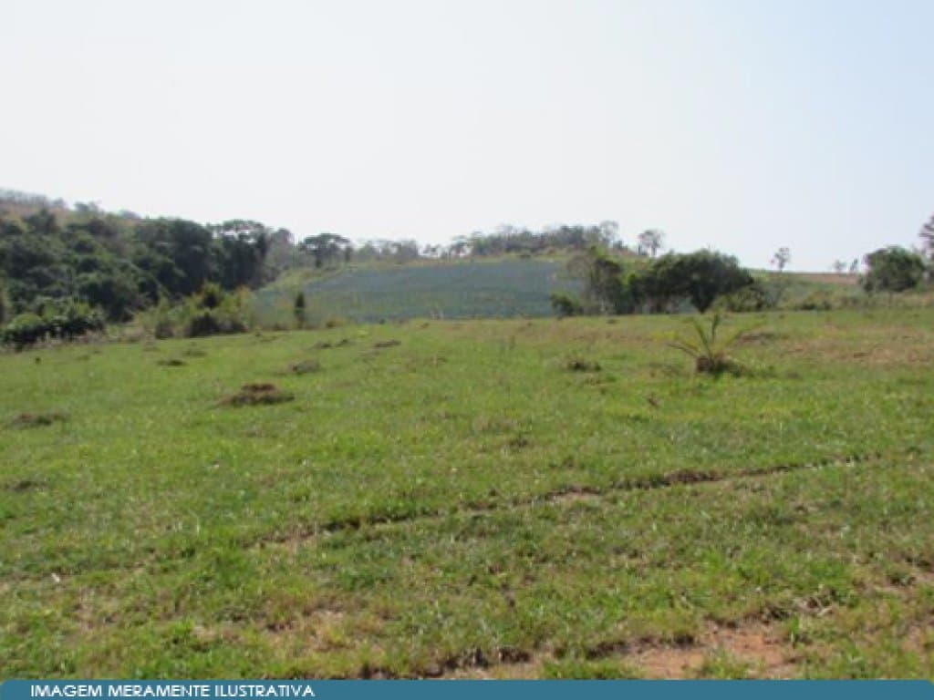 Foto 14 de 14: Area Rural em leilão em Mococa - SP — Imóvel Rural 140 ha (Fazenda Santa Maria da Figueira) - Mococa - SP