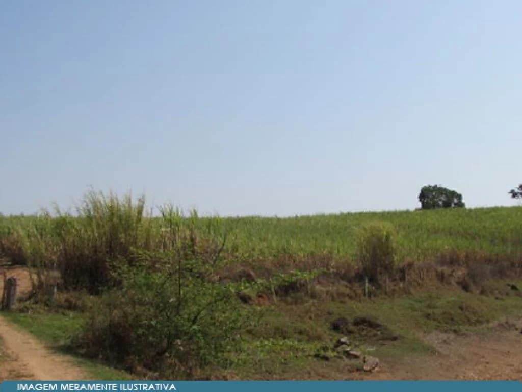Foto 10 de 14: Area Rural em leilão em Mococa - SP — Imóvel Rural 140 ha (Fazenda Santa Maria da Figueira) - Mococa - SP