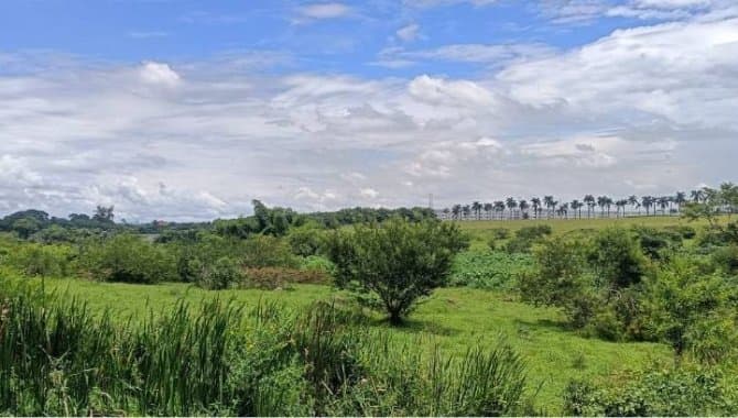 Foto 5 de 14: Terreno em leilão em Taubaté - SP — Área com 24.627 m² - Parque São Cristóvão - Taubaté - SP