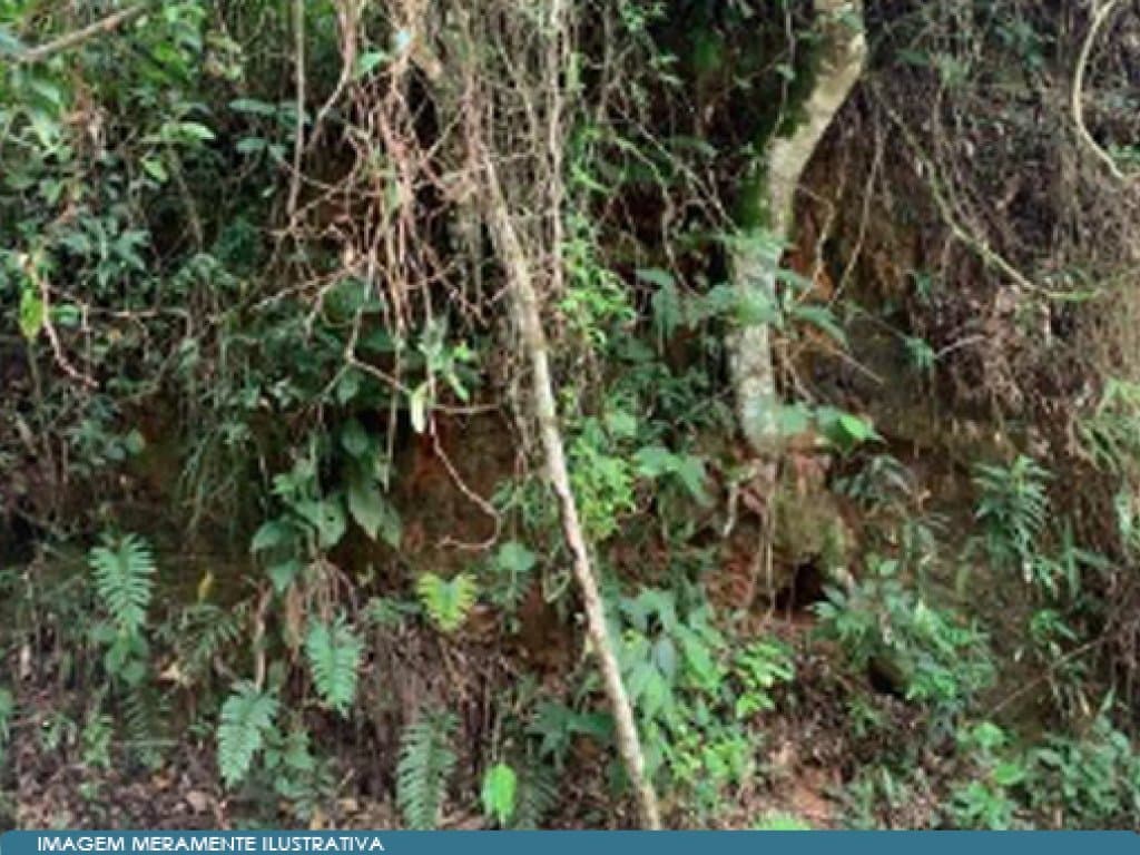 Foto 3 de 5: Area Rural em leilão em Mogi Das Cruzes - SP — Parte Ideal sobre Sítio 46 ha - Sabaúna - Mogi das Cruzes - SP