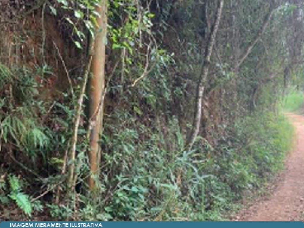 Foto 5 de 5: Area Rural em leilão em Mogi Das Cruzes - SP — Parte Ideal sobre Sítio 46 ha - Sabaúna - Mogi das Cruzes - SP
