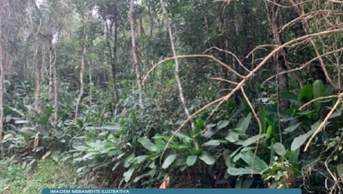 Foto 1 de 5: Area Rural em leilão em Mogi Das Cruzes - SP — Parte Ideal sobre Sítio 46 ha - Sabaúna - Mogi das Cruzes - SP