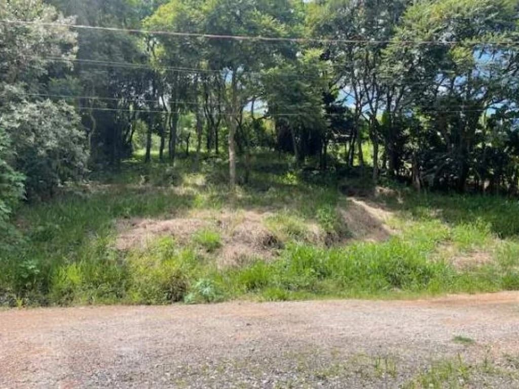 Foto 6 de 6: Terreno em leilão em Bragança Paulista - SP — Área com 1.680 m² - Jardim Caetê - Bragança Paulista - SP