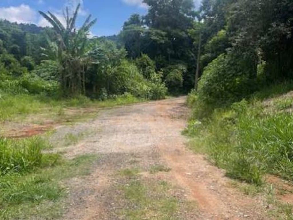 Foto 5 de 6: Terreno em leilão em Bragança Paulista - SP — Área com 1.680 m² - Jardim Caetê - Bragança Paulista - SP