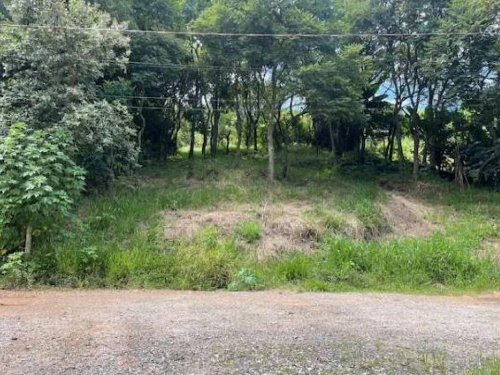 Foto 2 de 6: Terreno em leilão em Bragança Paulista - SP — Área com 1.680 m² - Jardim Caetê - Bragança Paulista - SP